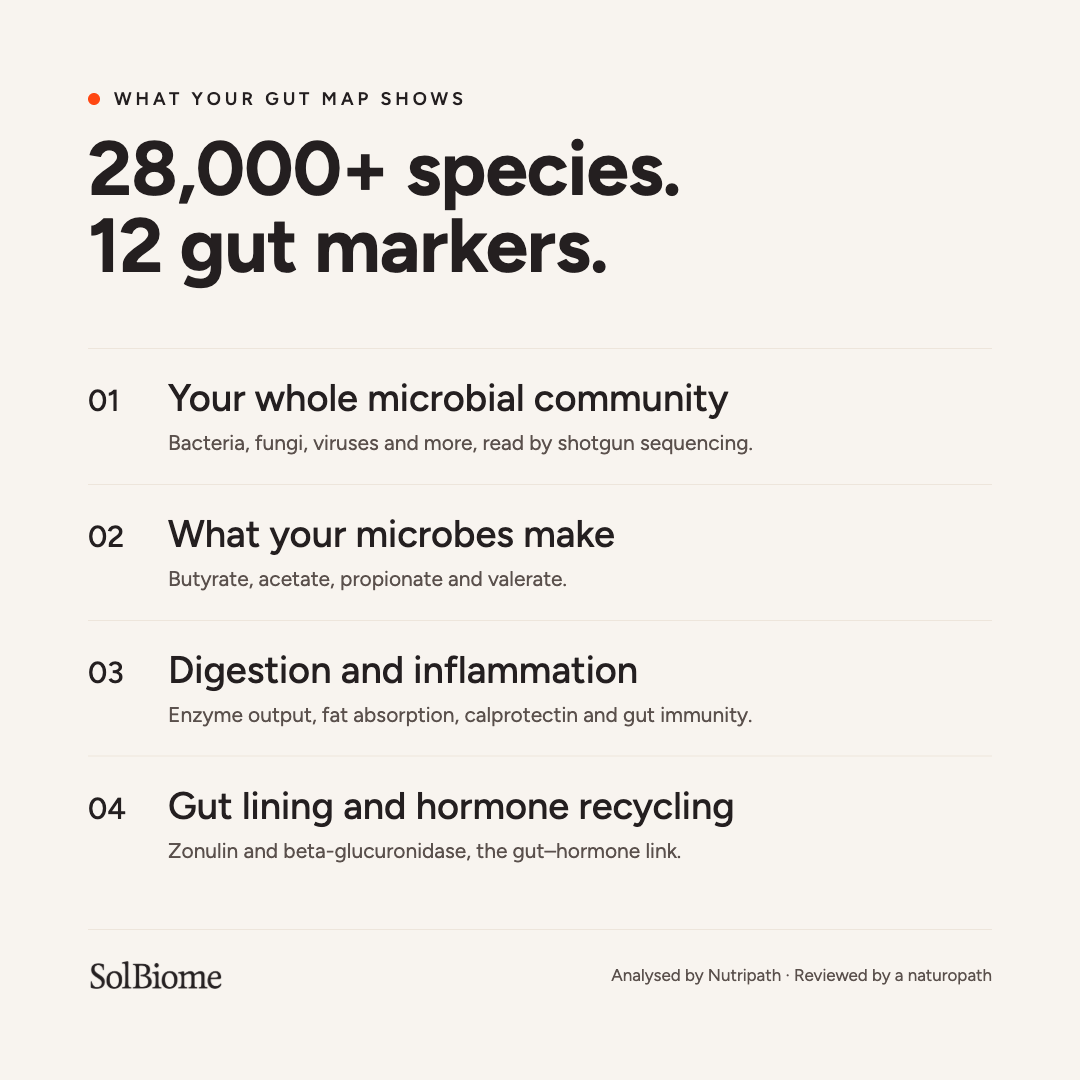 The Gut Map